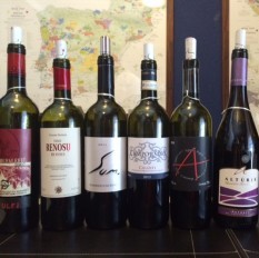 Degustação vinhos italianos